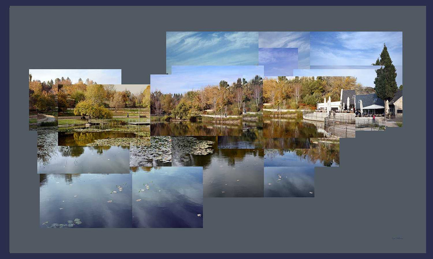Autumn in the Botanical Garden - Chaya & Raphael's Galleries