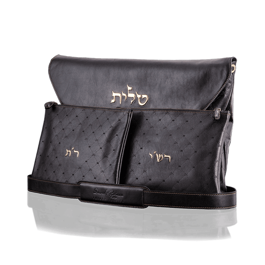Tallit and Tefillin Bag - KING DAVID - Chaya & Raphael's Galleries