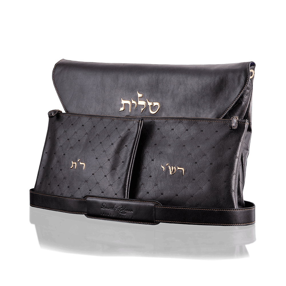 Tallit and Tefillin Bag - KING DAVID - Chaya & Raphael's Galleries