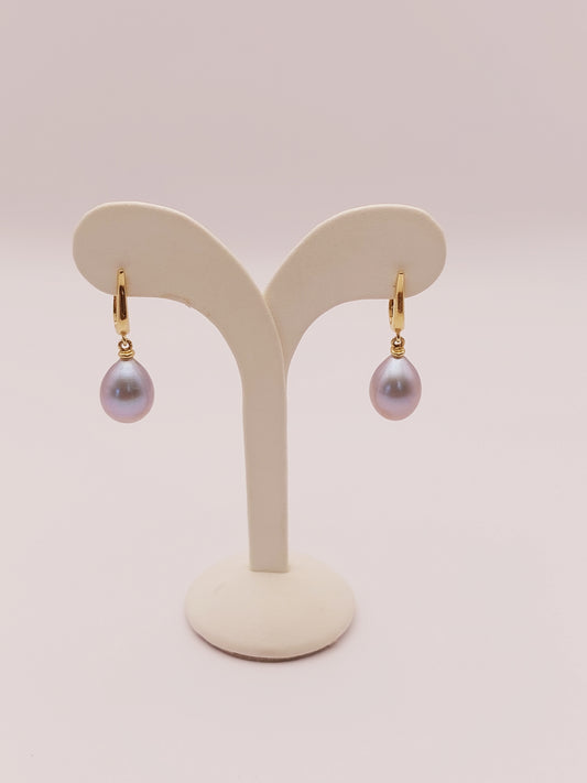 Tahitian Pearl Earrings