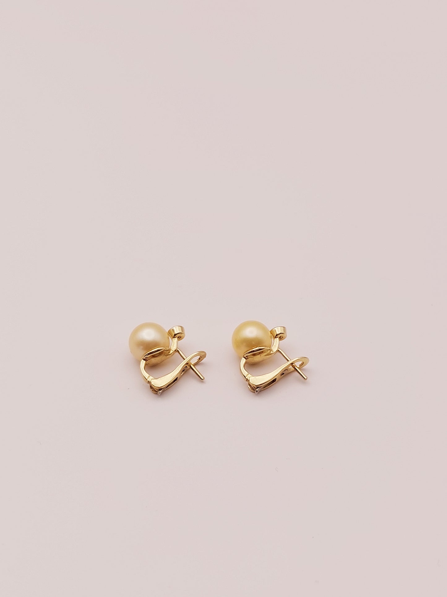 Golden South Sea Pearl Earrings