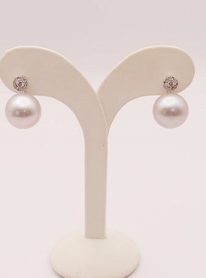 Akoya Pearl Earrings