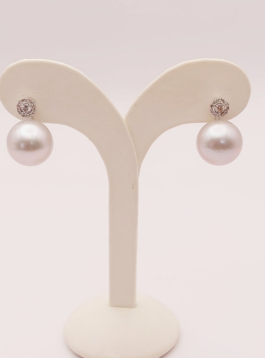 Akoya Pearl Earrings