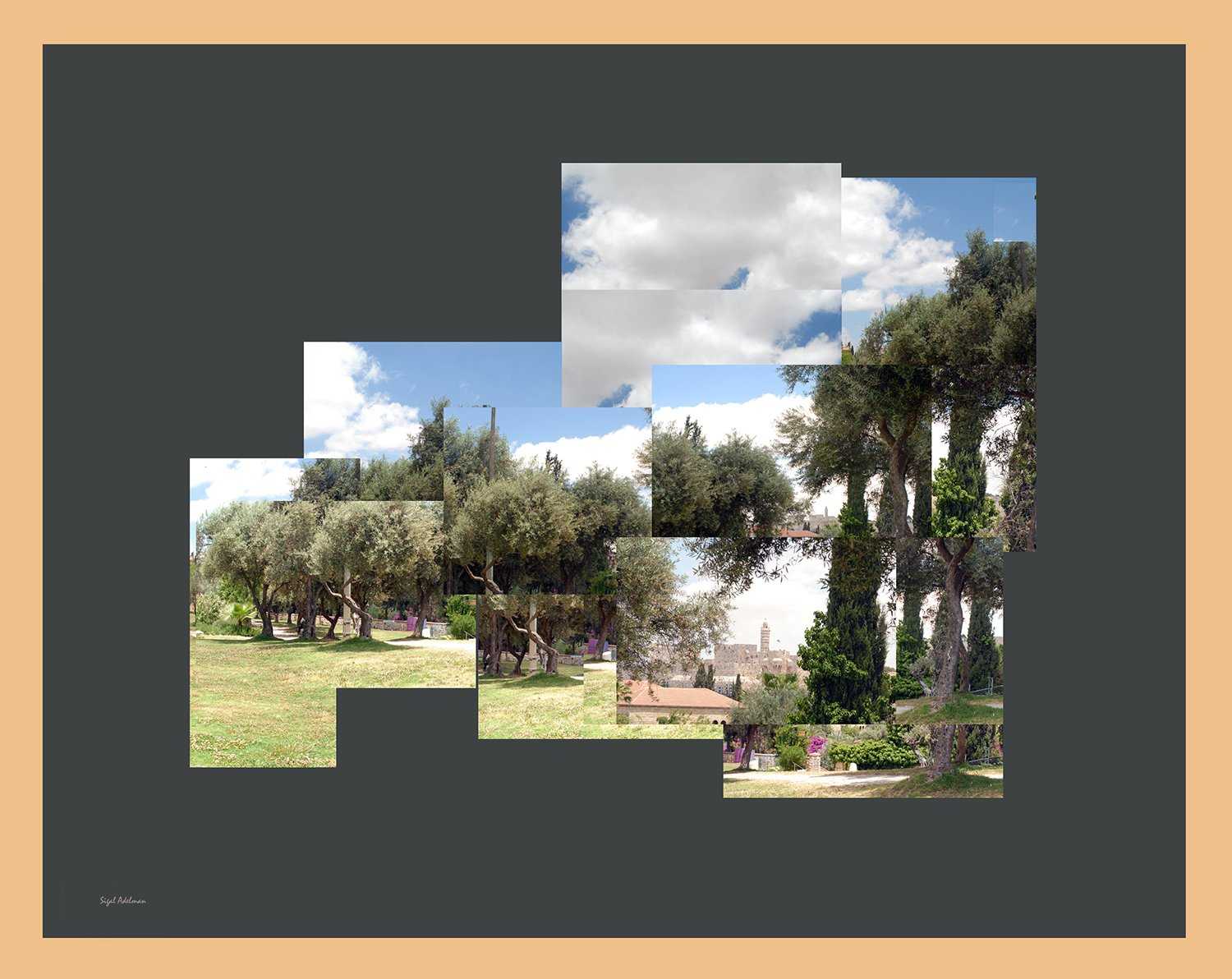 A Garden and Tower of David - Chaya & Raphael's Galleries