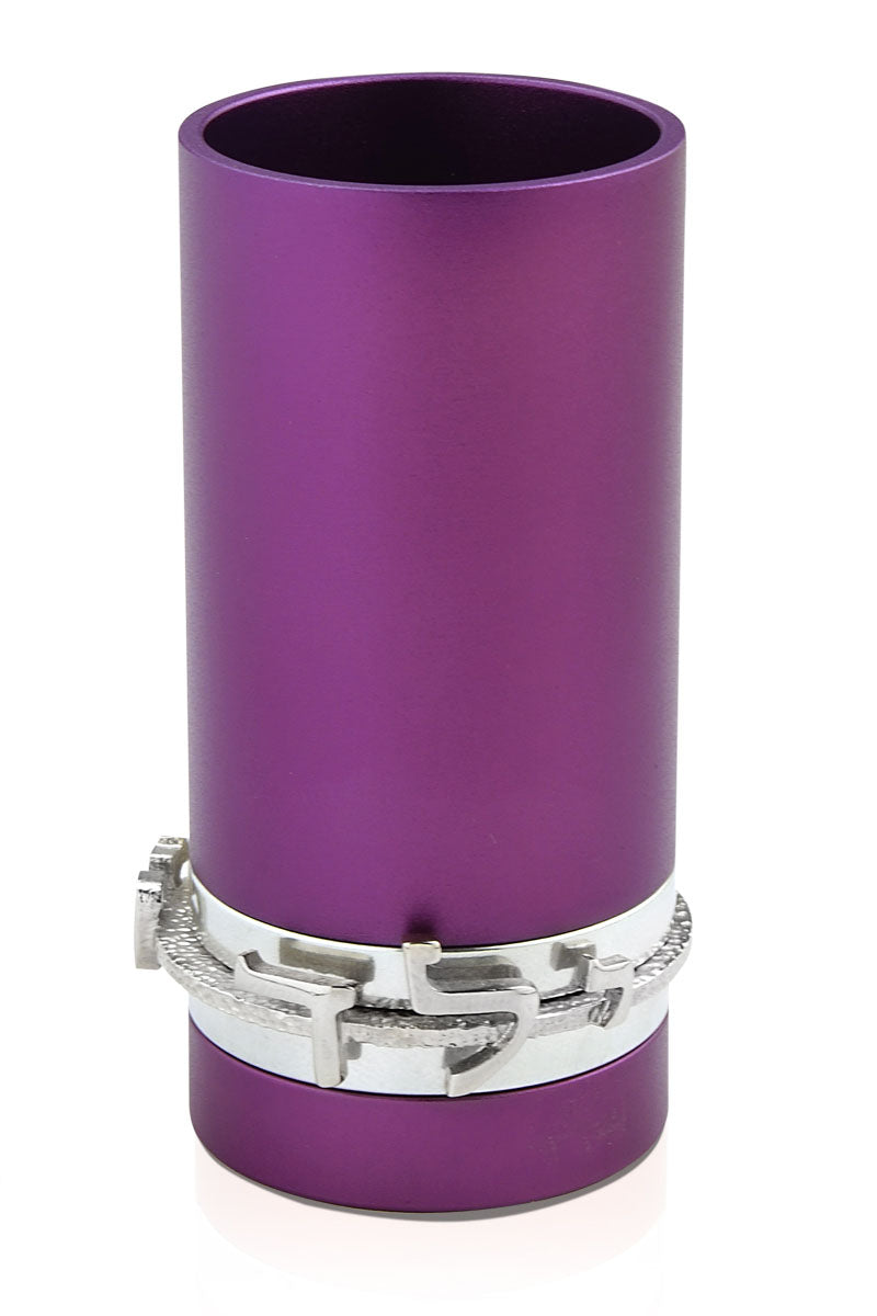 Kiddush Cup for Boys - Chaya & Raphael's Galleries