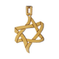 PENDANT «ICE AND FIRE» with GOLD - Chaya & Raphael's Galleries