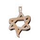 PENDANT «ICE AND FIRE» with GOLD - Chaya & Raphael's Galleries